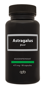 Astragalus